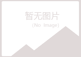 珠海晓夏咨询有限公司